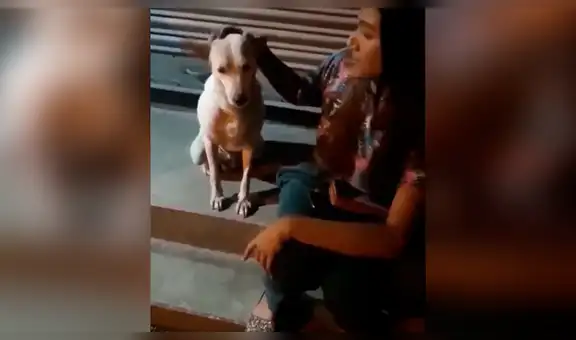 Mujer acaricia por primera vez a perro callejero y este tiene conmovedora reacción [VIDEO] 