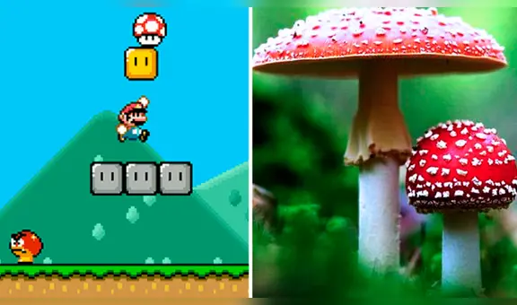 Super Mario Bros: conoce al alucinógeno real que inspiró al hongo del videojuego [FOTOS]