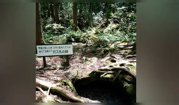 Google Maps: conoce todo acerca de Aokigahara, el misterioso ‘bosque de los suicidios’ de Japón [FOTOS]