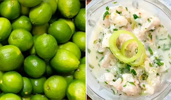 Chile ha importado más de 4 mil toneladas de limón piurano en lo que va del 2020