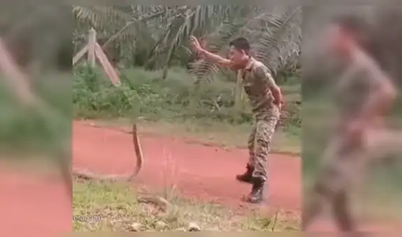 Chico militar se topa con enorme serpiente venenosa y sorprende con su rápida reacción [VIDEO]