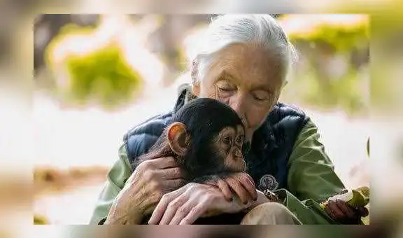 “El desprecio al mundo causó el coronavirus”, dijo la primatóloga Jane Goodall