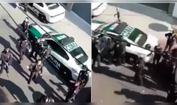México: sujetos ebrios violan cuarentena y liberan a pitbull para atacar a policías [VIDEO] 
