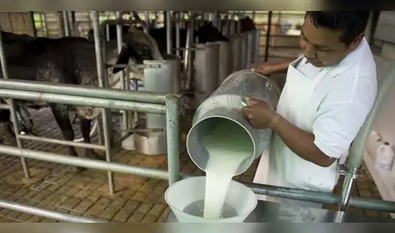 Polémica por proyecto del Congreso sobre la leche