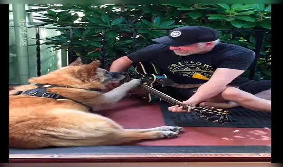 Facebook: "perro mariachi" sorprende al tocar la guitarra y se vuelve viral [VIDEO]