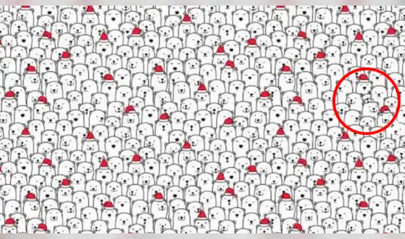 Halla al perro escondido entre osos polares, el reto visual que pocos pueden resolver [FOTOS]