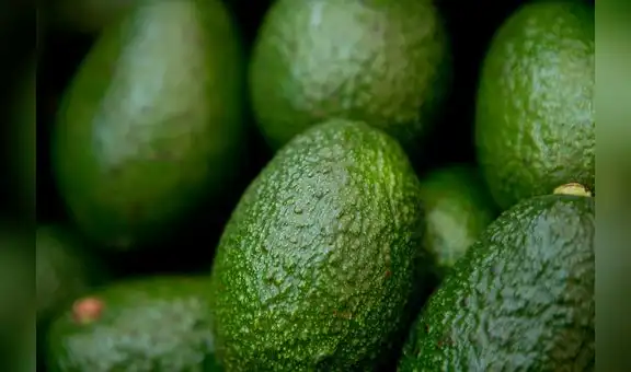 Minagri y Senasa buscan que productos agropecuarios peruanos ingresen a China