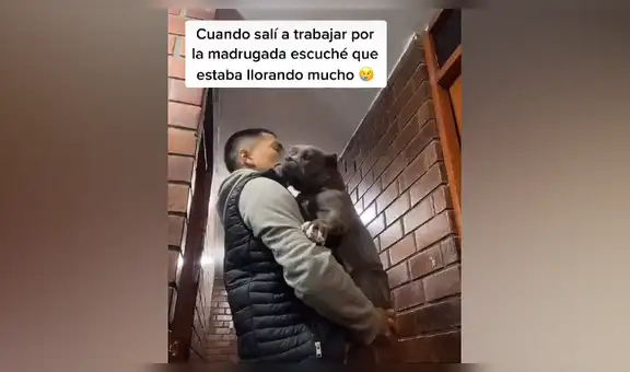 Perro tiene conmovedora reacción para evitar que su dueño salga de noche y miles quedan impactados [VIDEO]