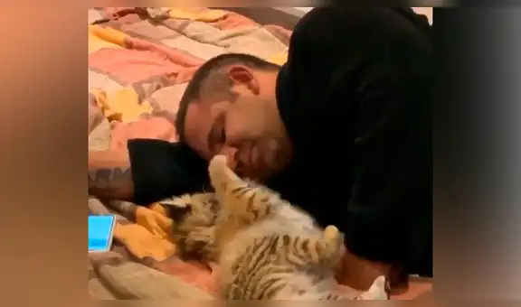 Hombre protagoniza conmovedora escena con tigre bebé que tenía pocos días de nacido [VIDEO]