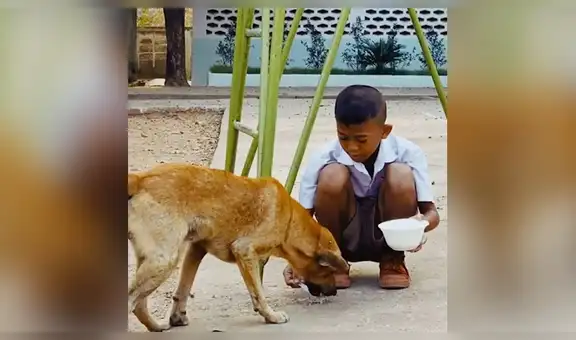 Profesora capta a alumno compartiendo su desayuno con hambriento perro callejero [VIDEO]