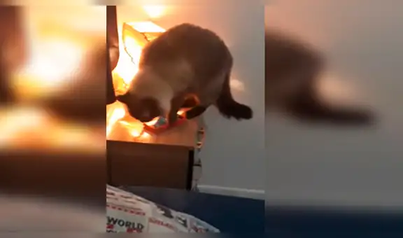 Facebook viral: mujer instala cámara de seguridad en su cuarto y descubre por qué siempre se levanta tarde [VIDEO] 