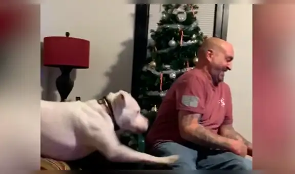 Perro intenta llamar la atención de su dueño y pierde la paciencia al no conseguirlo [VIDEO]