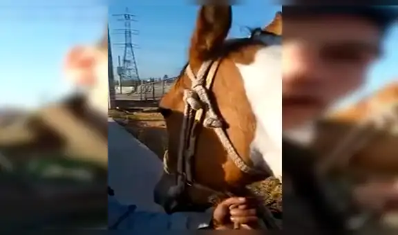 Facebook viral: niño llora de la emoción cuando policía le devuelve su caballo perdido [VIDEO]