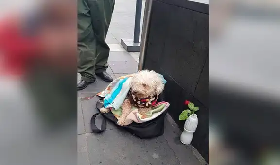 Anciano sale a vender golosinas todos los días y su perro lo acompaña