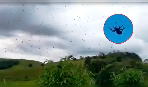 YouTube viral: plaga de insectos 'cae del cielo' y usuarios piensan que el apocalipsis llegó [VIDEO]