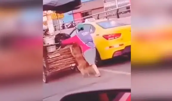 Perro acompaña a su dueña para ayudarla en sus labores todos los días