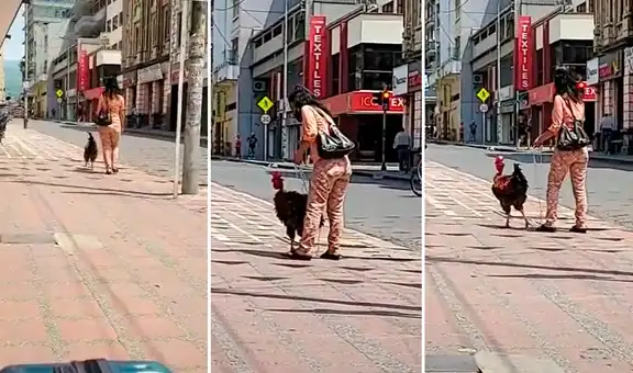 Transeúntes captan a mujer paseando a su gallo mascota como si fuera un perro