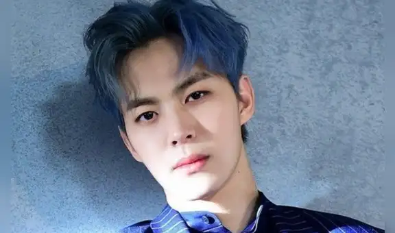 VIXX: Hongbin anuncia retiro de Twitch tras escándalo por comentarios sobre otros idols Kpop