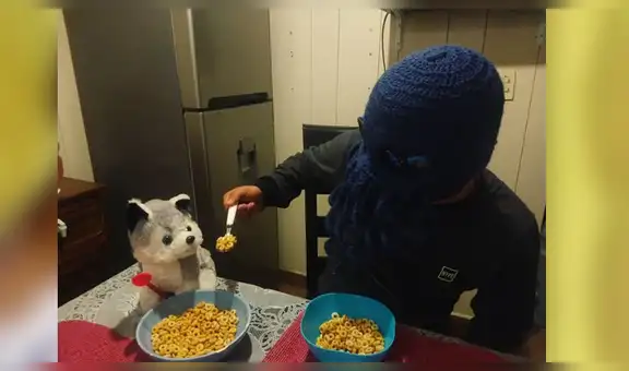 El nuevo creepypasta que aterra a todos: el perro que come cereal con cuchara [VIDEO]