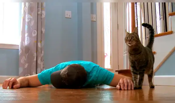YouTube Viral: Gato hizo lo impensable al ver "muerto" a su dueño [VIDEO]