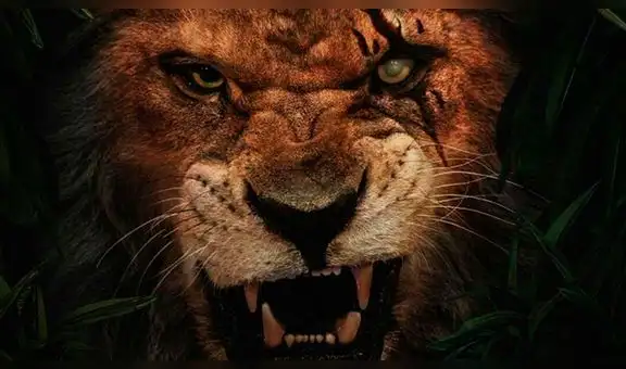 Toma real de “El Rey León” es confirmada por su director Jon Favreau [FOTOS]