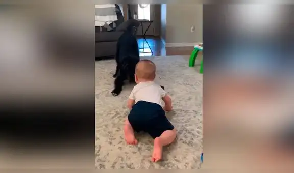 Mamá deja a su perro junto a su bebé y al regresar los capta en conmovedora escena [VIDEO]