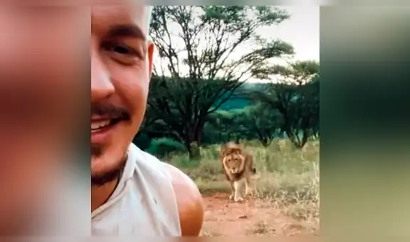 León voraz observa a hombre ingresando a santuario y lo acecha por la espalda [VIDEO]