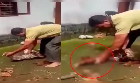 Facebook: Serpiente se come ‘almuerzo’ de señor y él recurre a insólito método para recuperarlo [VIDEO]