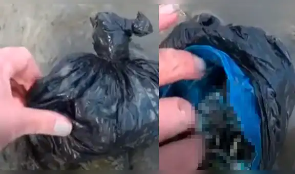 Descubre misteriosa bolsa abandonada en turbio río, la abre y revela algo inesperado [VIDEO]