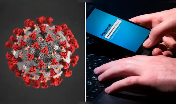 Las seis formas de estafas virtuales más comunes en la pandemia del coronavirus