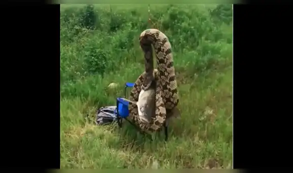 Pescado retira anzuelo de lago, sin sospechar que atraparía a letal criatura devorando a pez [VIDEO]