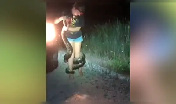 Mujer intenta capturar a enorme pitón con las manos, sin imaginar la reacción del depredador [VIDEO]
