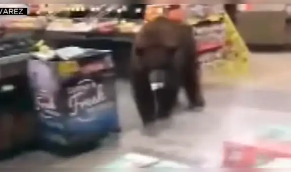 Osos pardos entran a tiendas para comer dulces y espantan a los trabajadores [VIDEO]