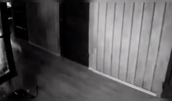 Torpe ladrón intenta robar aun negocio y huye despavorido al asustarse con su reflejo [VIDEO]