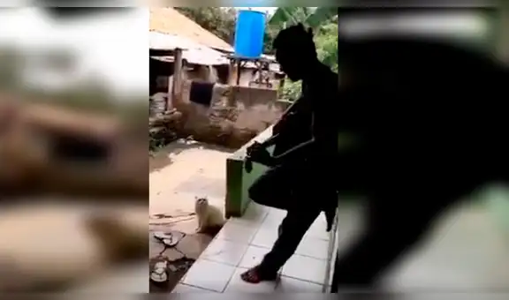 Joven maúlla tocando su guitarra, su gato lo imita y ‘canta’ con él una balada [VIDEO]
