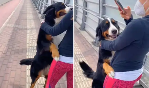 Perro protagoniza emotiva escena al reencontrarse con su dueña quien estuvo en cuarentena [VIDEO]