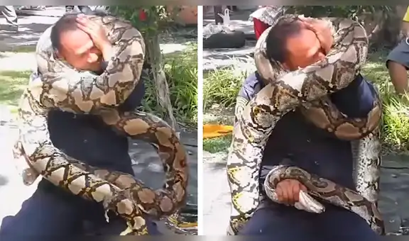 YouTube viral: Bombero es estrangulado por enorme serpiente ante la sorpresa de miles