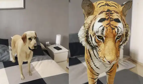Animales 3D en tu casa: ¿cómo usar la nueva herramienta de Google?