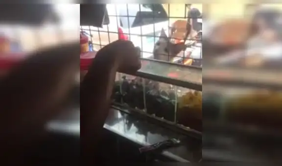 Gato acude a bodega para que le ‘inviten’ caramelos y se va corriendo al recibirlos [VIDEO]