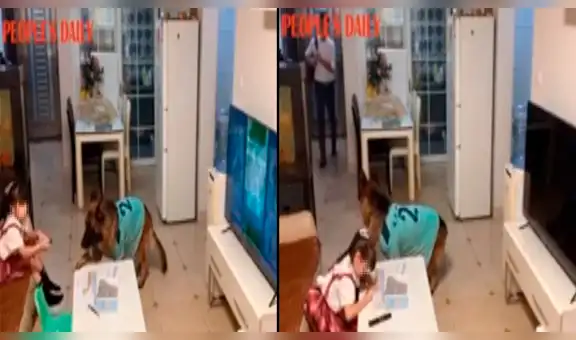 Perro avisa a una niña que su papá regresó a casa para que apague la TV y haga su tarea [VIDEO]