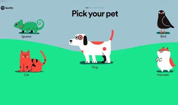 Spotify lanza listas de reproducción para tu perro, gato u otra mascota que tengas en casa [FOTOS]