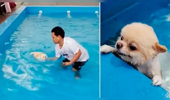 YouTube viral: profesor de natación enseña a nadar a perrito y miles se conmueven [VIDEO]