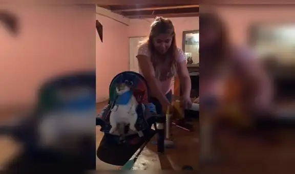 Mujer le corta los pelos a su gato y este sorprende con su calmada reacción [VIDEO] 