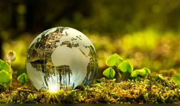 Día Mundial del Medio Ambiente: ¿Cómo concientizar a los niños sobre la importancia de esta fecha?