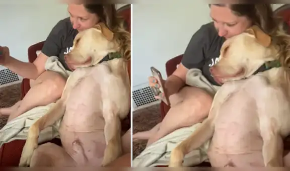 Chico deja a su perro junto con su novia para hacer las compras, al volver los encuentra en tierna escena [VIDEO]