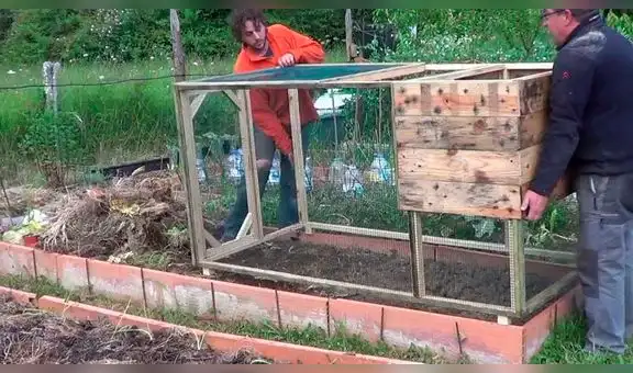 YouTube: Visitaron un gallinero en Australia y tuvieron la peor experiencia de todas