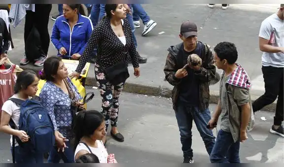 Venta ilegal de animales en el Centro de Lima aumenta por mafias y falta de coordinación