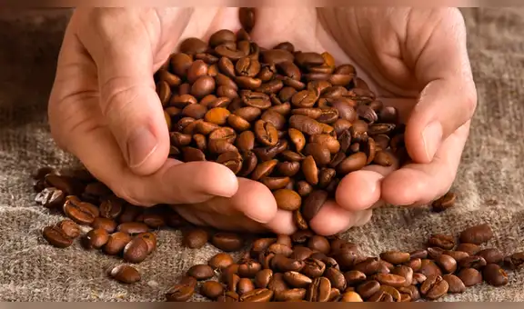 Perú es uno de los líderes en la producción mundial de café orgánico