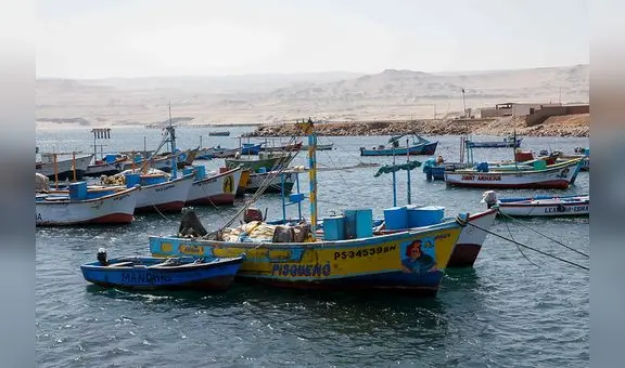 Produce sigue sin emitir los lineamientos para formalizar a la flota pesquera del norte