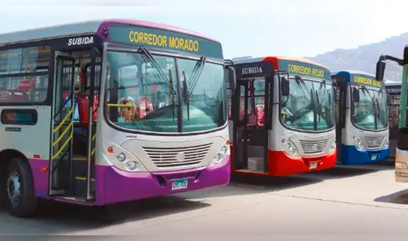 Ya van casi 8 años y los corredores aún operan con el 15% de sus buses